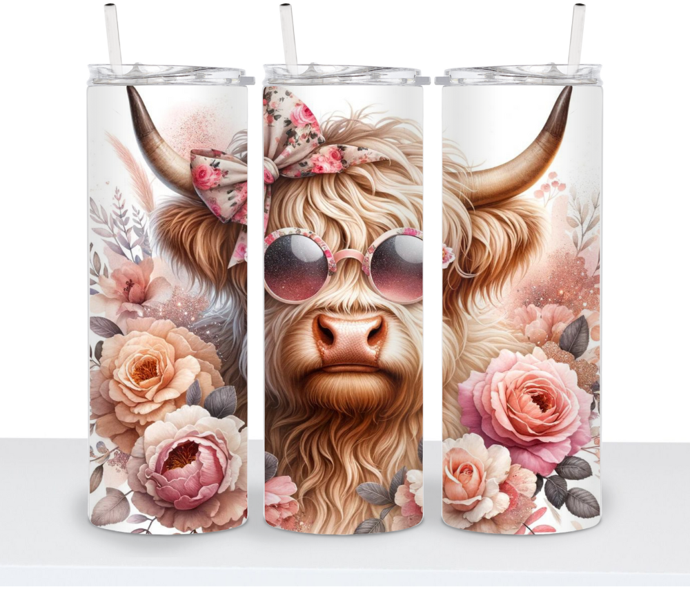 Adorable Highland Cows