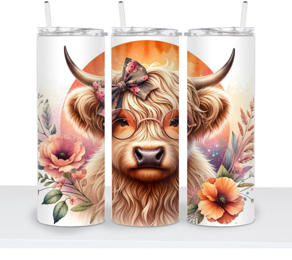 Adorable Highland Cows