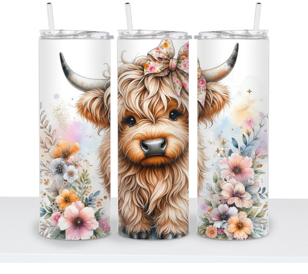 Adorable Highland Cows