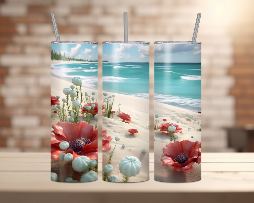 Beach & Ocean