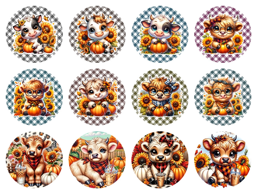3" Card stock Options for 4" Round Indented Freshie Mold