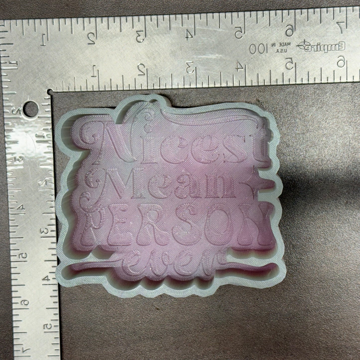 Nicest Mean Person Ever De-Stash Freshie Mold