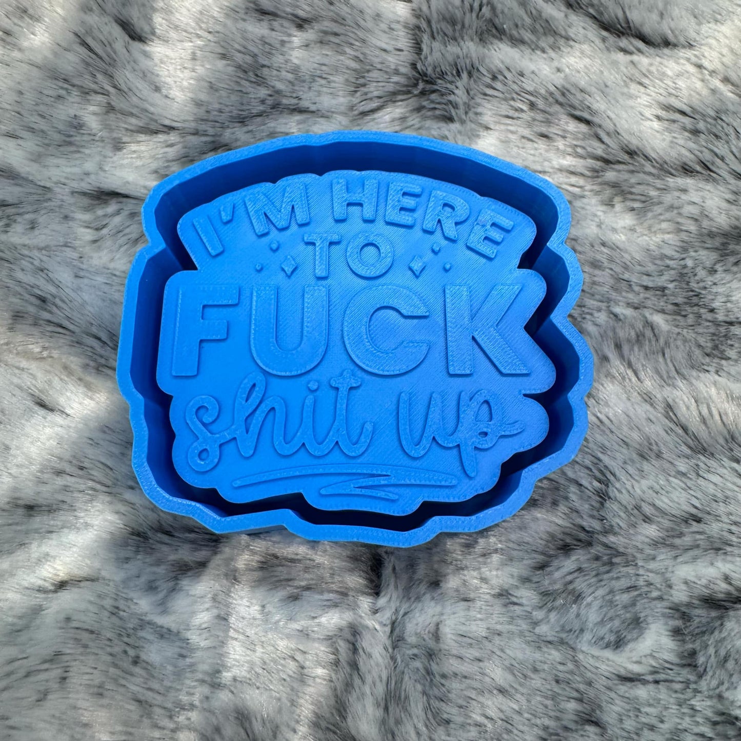 I'm Here To Fuck Shit Up Saying Freshie Mold