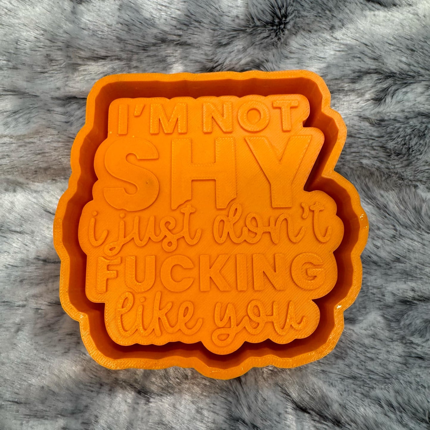 I'm Not Shy I Just Don't Fucking Like You Saying Freshie Mold