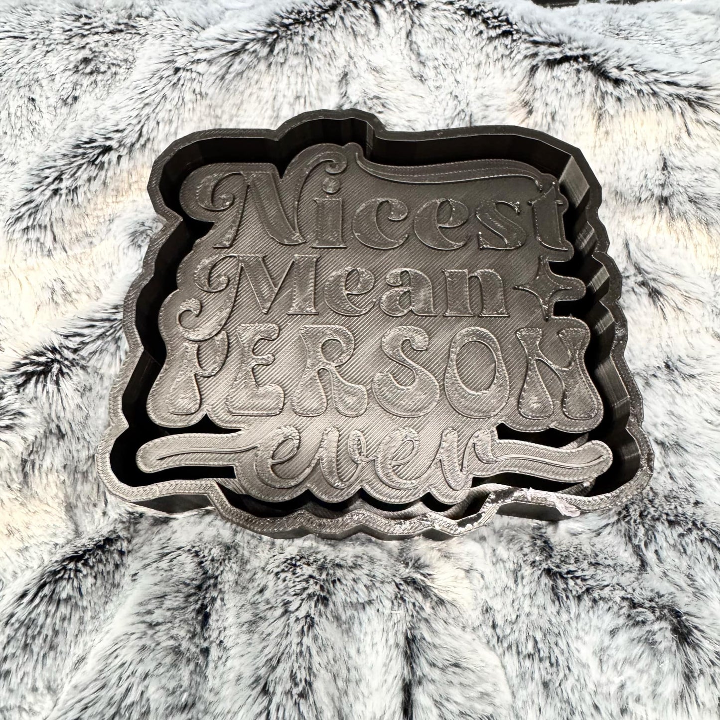 Nicest Mean Person Ever Saying Freshie Mold