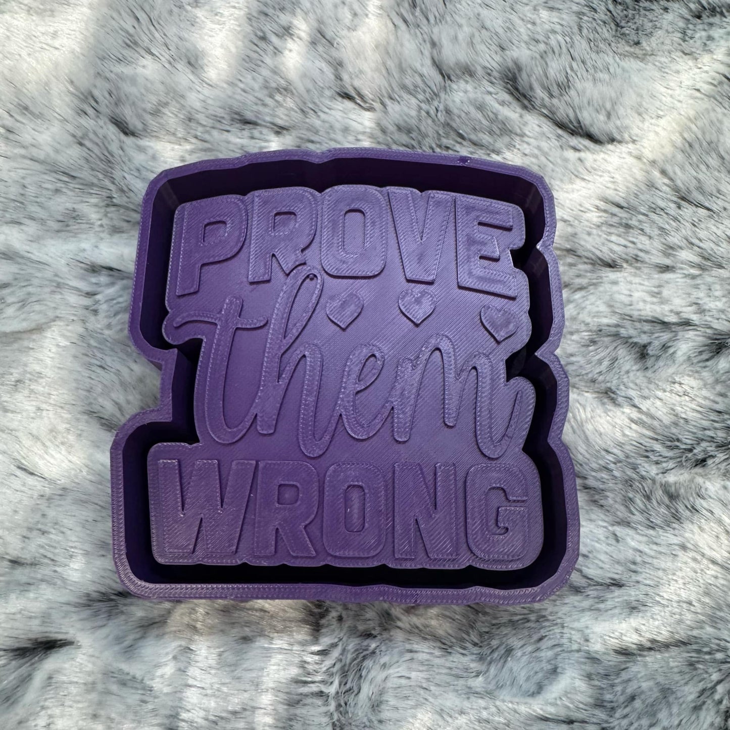 Prove Them Wrong Freshie Mold