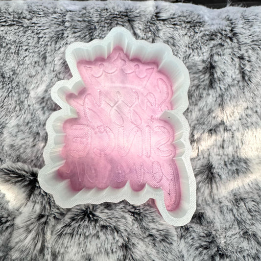 Sassy Since Forever Saying Freshie Mold