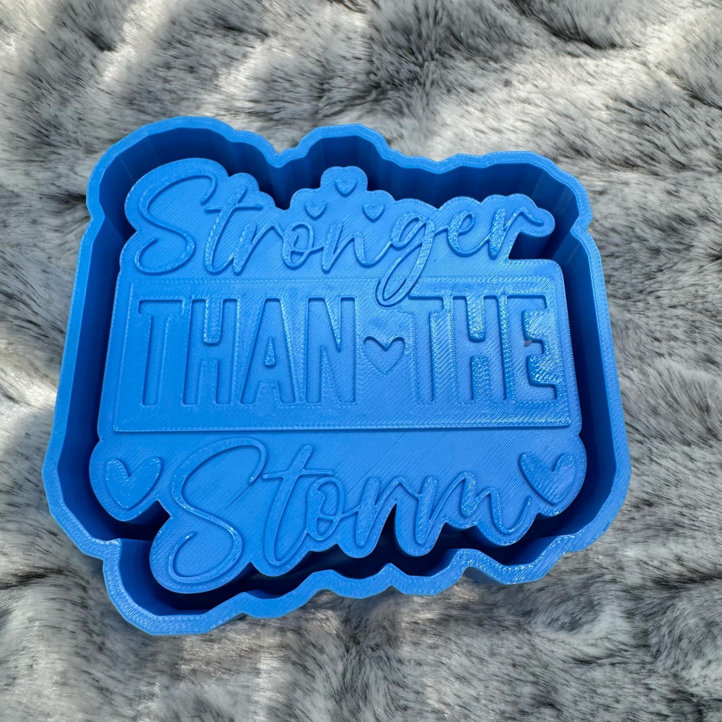 Stronger Than The Storm Saying Freshie Mold