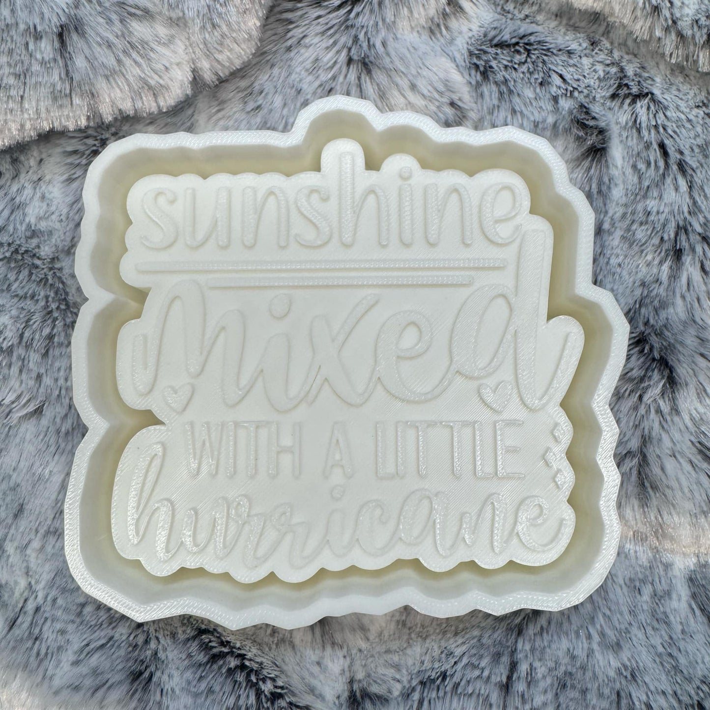 Sunshine Mixed With A Little Hurricane Saying Freshie Mold