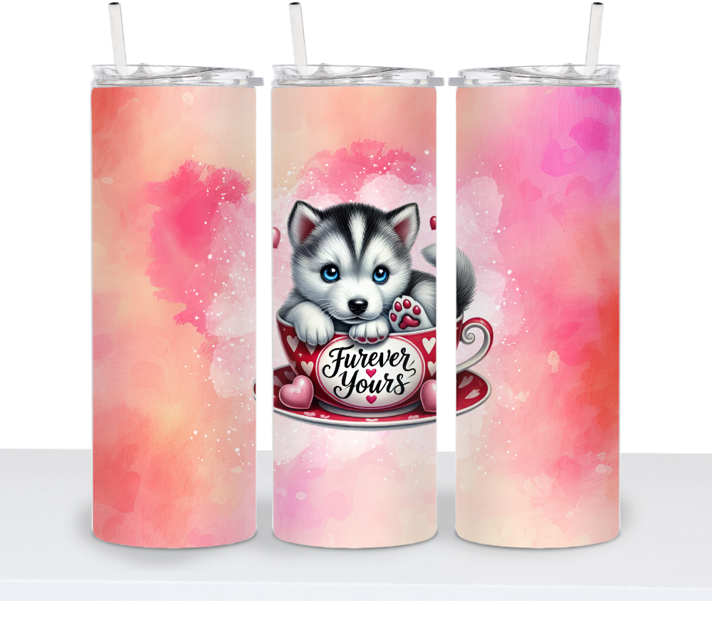 Valentine's Dog Choice