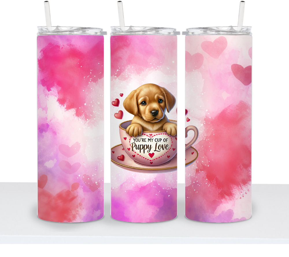 Valentine's Dog Choice