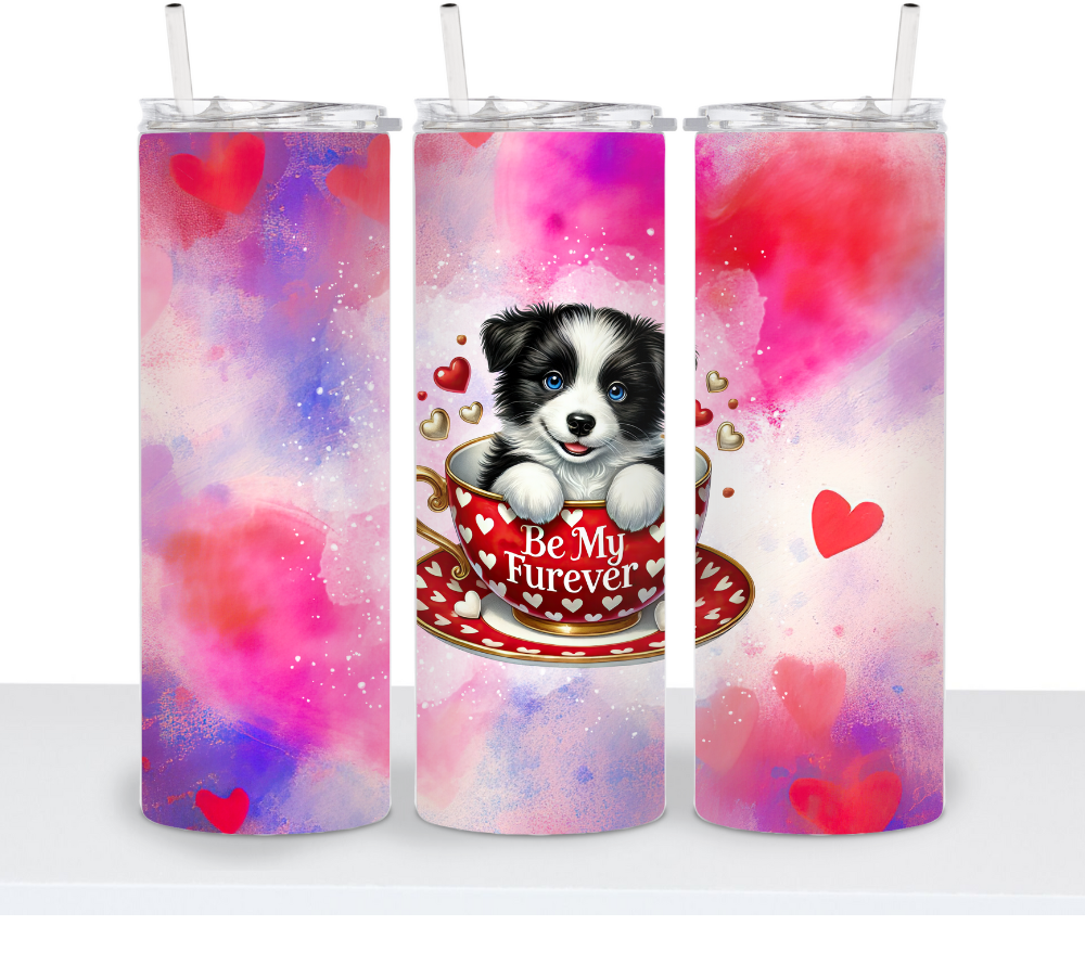 Valentine's Dog Choice