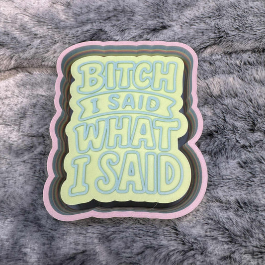 Bitch I Said What I Said Freshie Mold