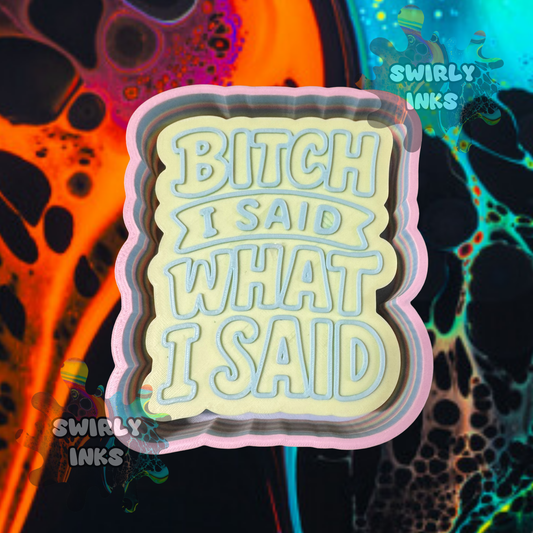 Bitch I Said What I Said Freshie Mold
