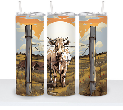Cows