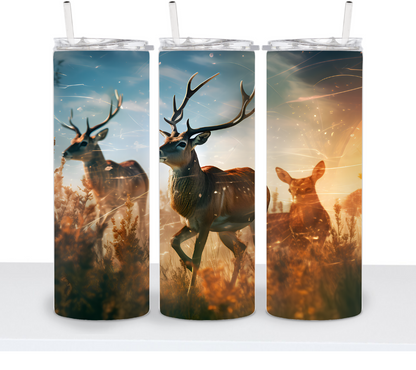 Deer & Bucks