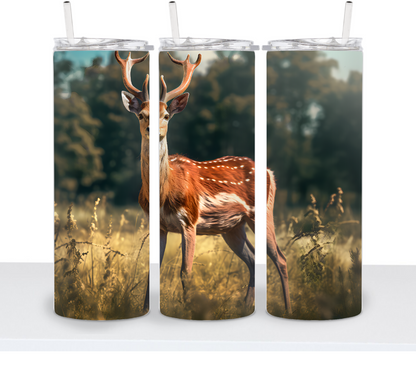 Deer & Bucks