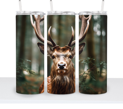 Deer & Bucks