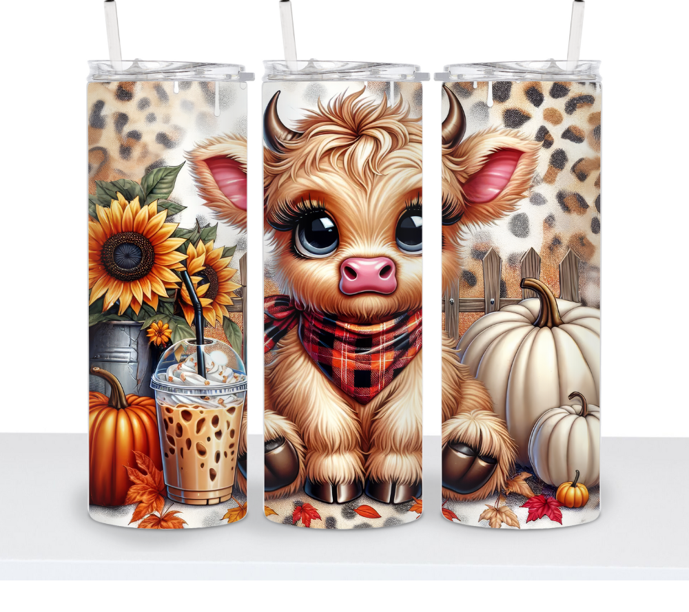 Fall Cows