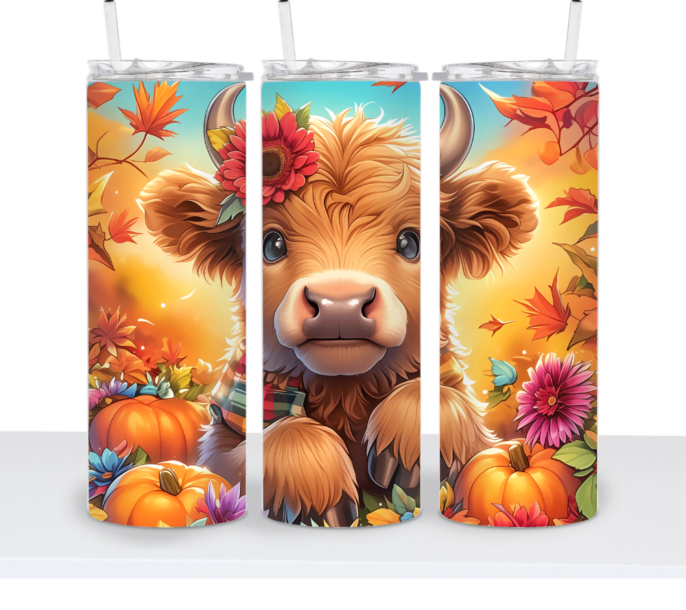 Fall Cows