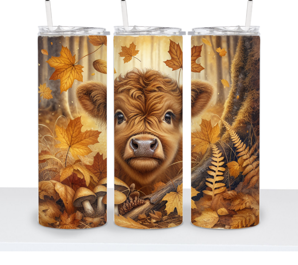 Fall Cows