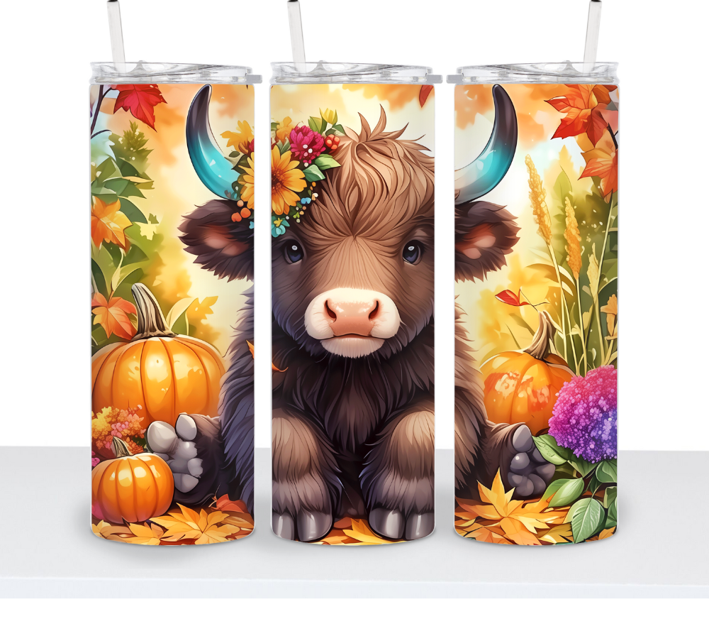 Fall Cows