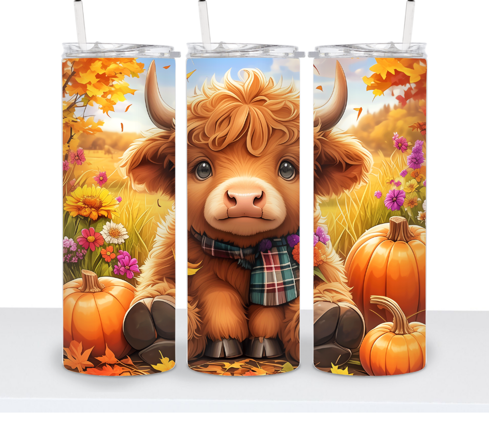 Fall Cows