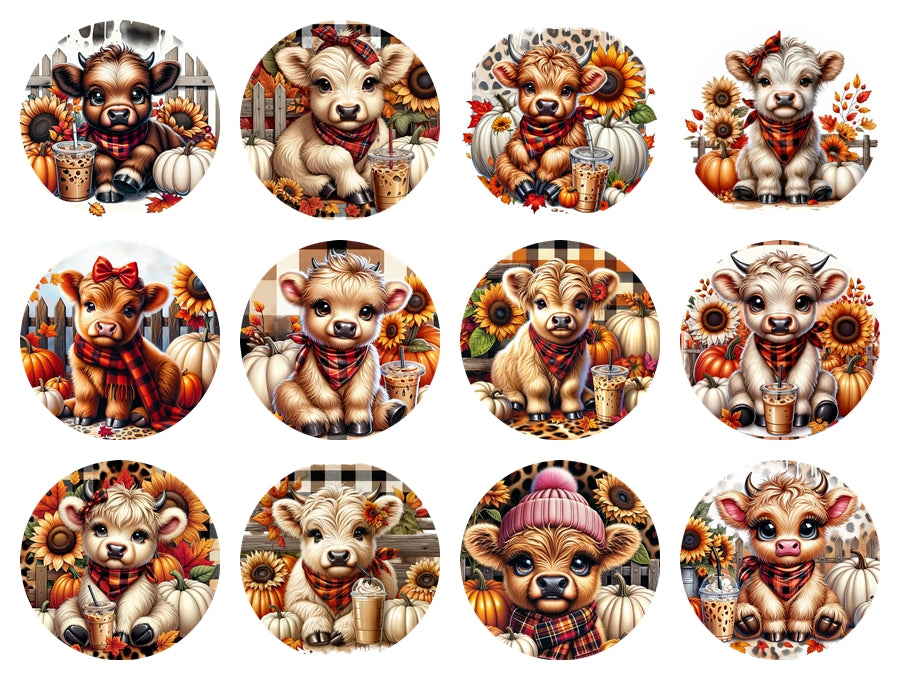 Card stock Options for Round Freshie Molds