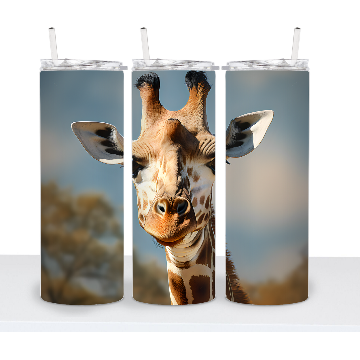 Giraffes