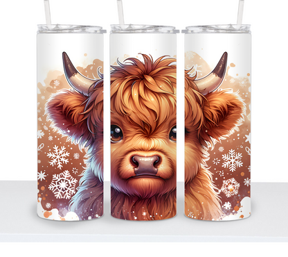 Cows