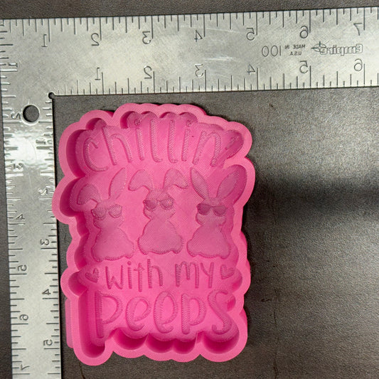 Chillin' With My Peeps De-Stash Freshie Mold