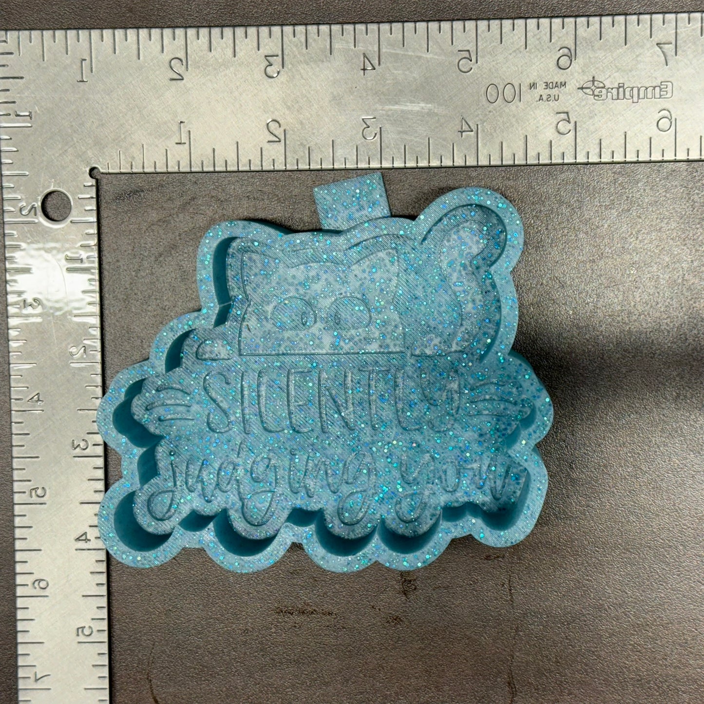 Silently Judging You De-Stash Freshie Mold