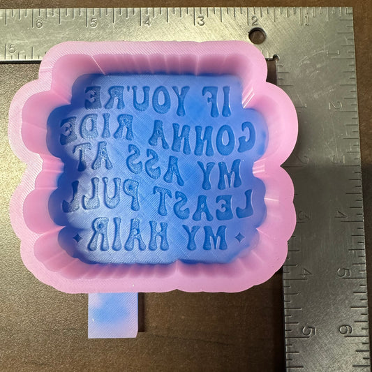 If You're Gonna Ride My.... De-Stash (B Grade) Freshie Mold