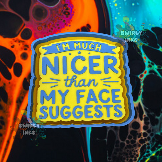I'm Much Nicer Than My Face Suggests Freshie Mold