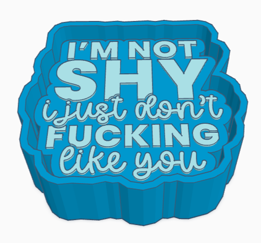 I'm Not Shy I Just Don't Fucking Like You Saying Freshie Mold