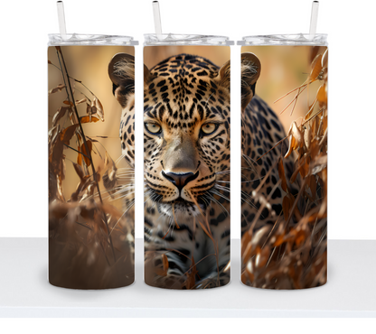 Big Cats