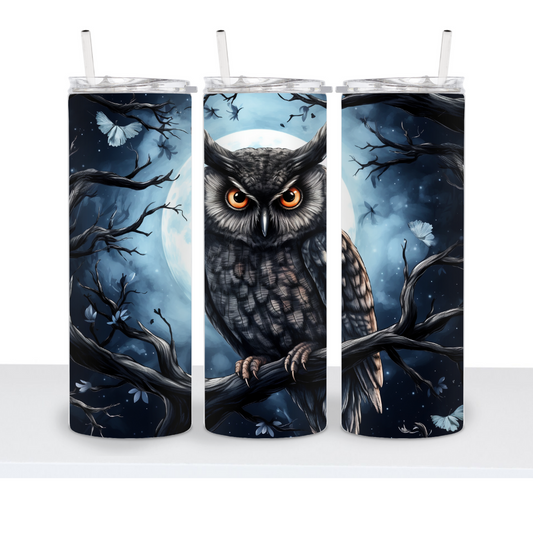 Night Owl