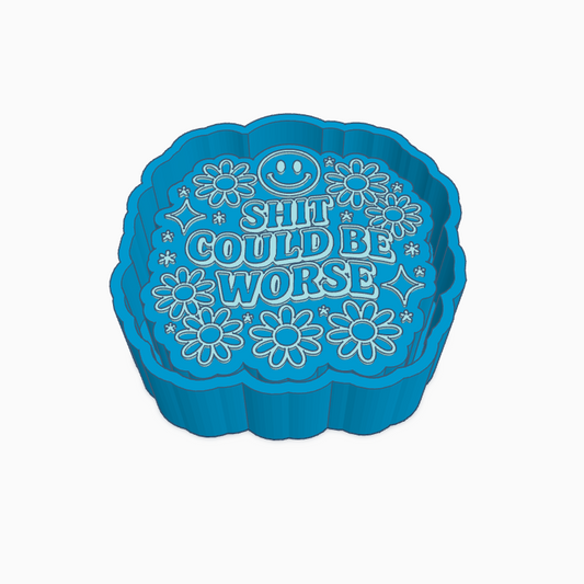 Shit Could Be Worse Freshie Mold