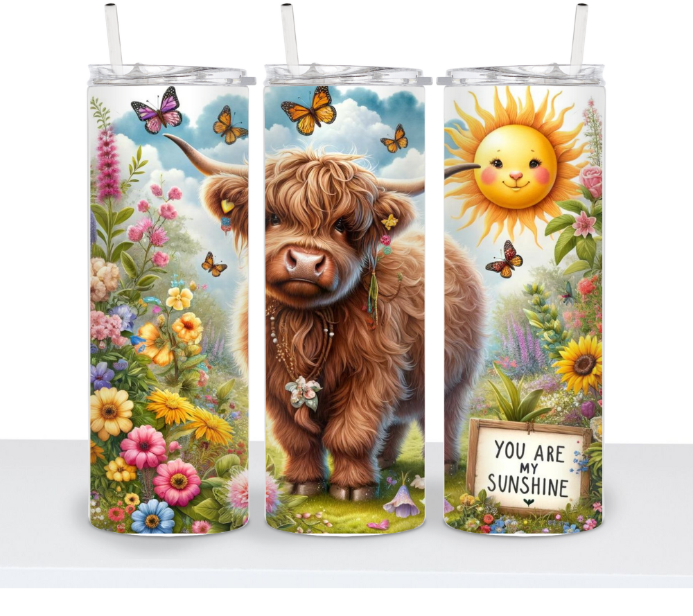 Summer Highland Cows