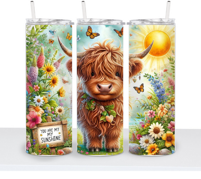Summer Highland Cows