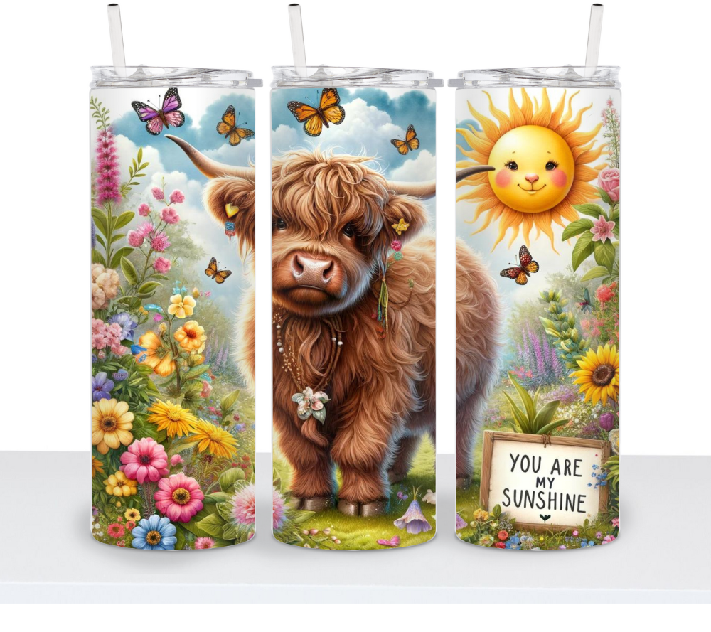 Summer Highland Cows