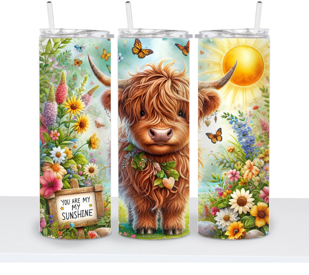 Summer Highland Cows