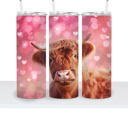 Valentine's Highland Cow Choice