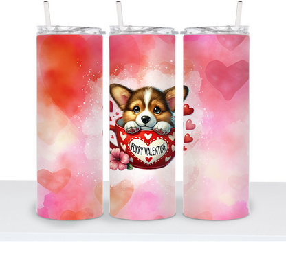 Valentine's Dog Choice
