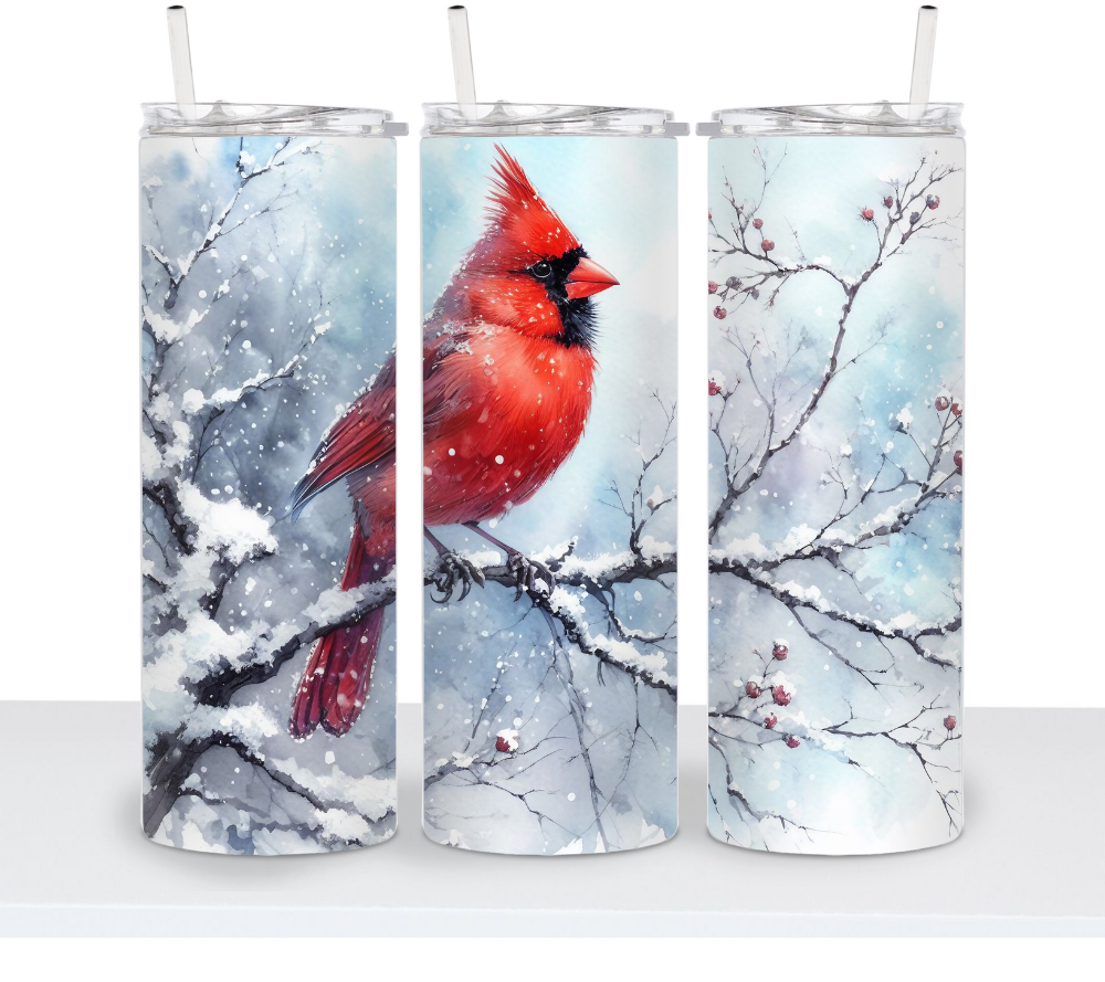 Winter Cardinal