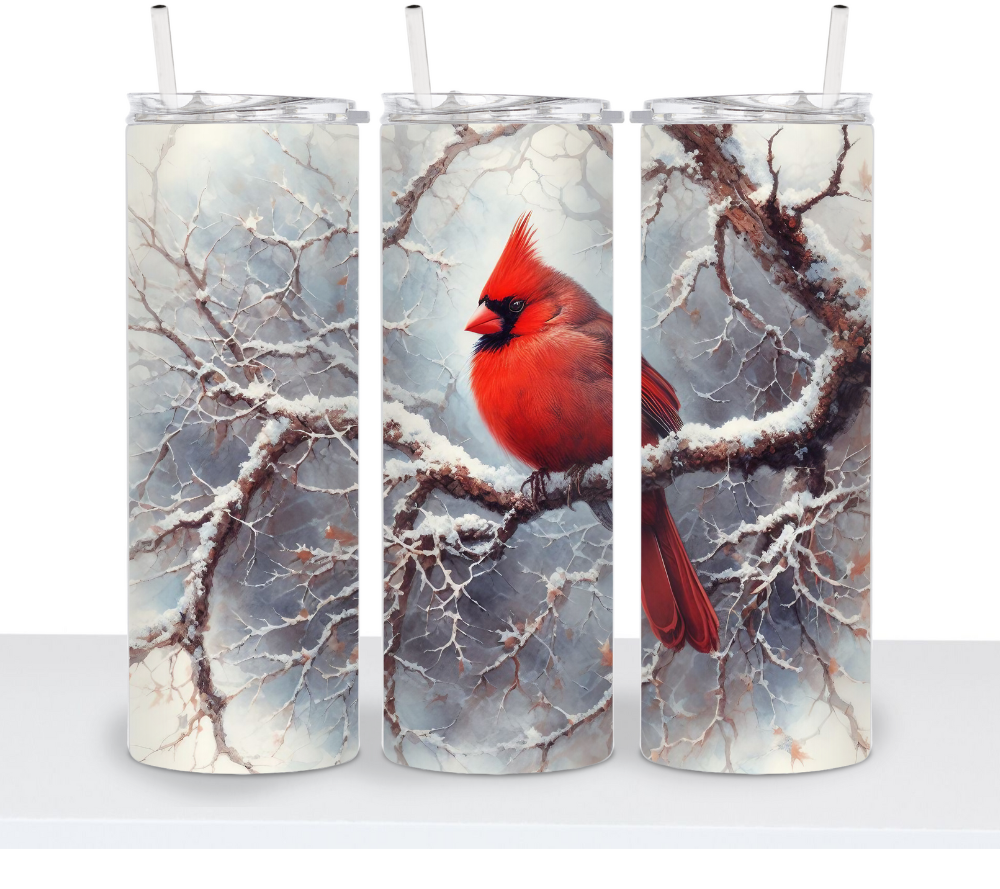 Winter Cardinal