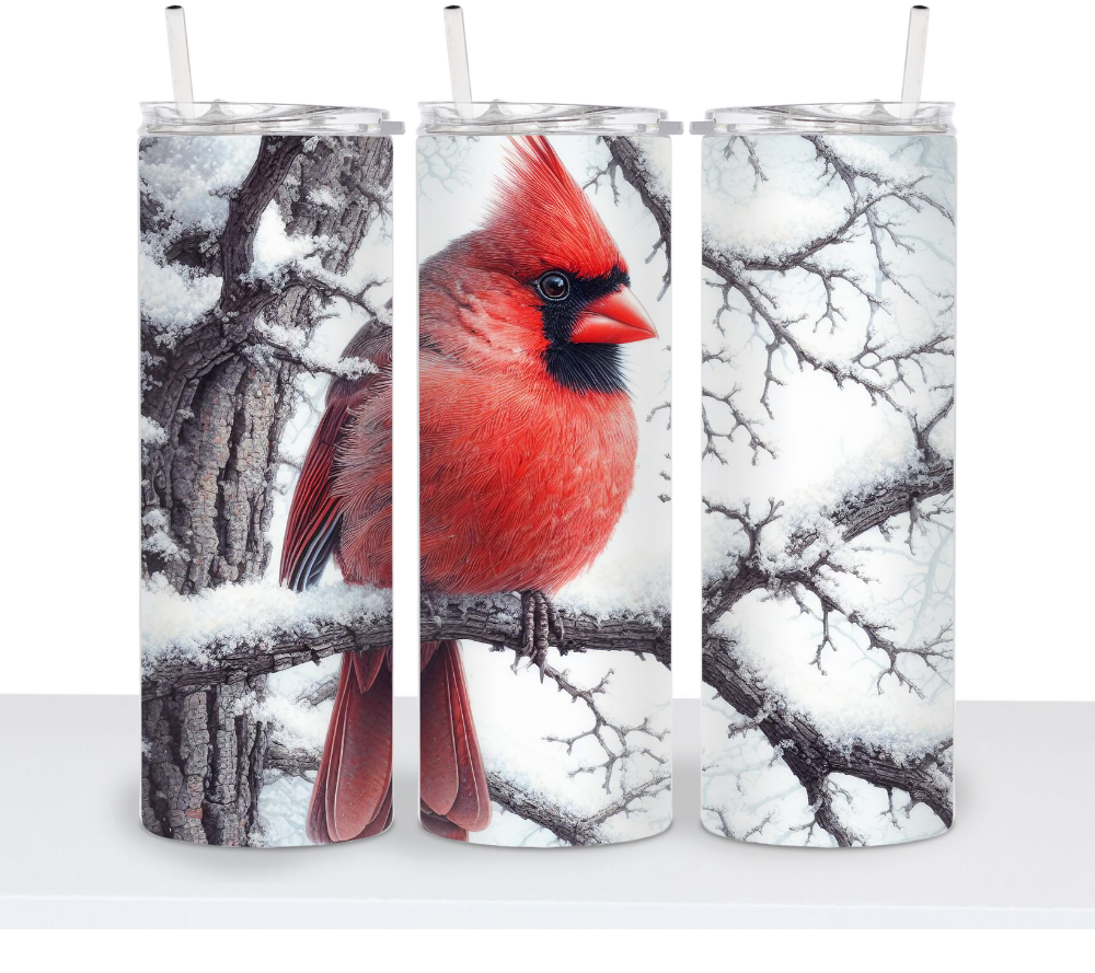 Winter Cardinal