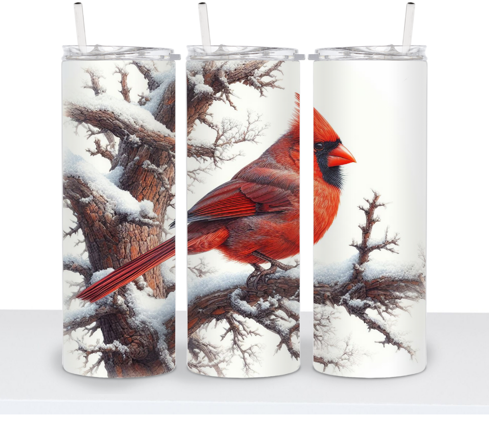 Winter Cardinal