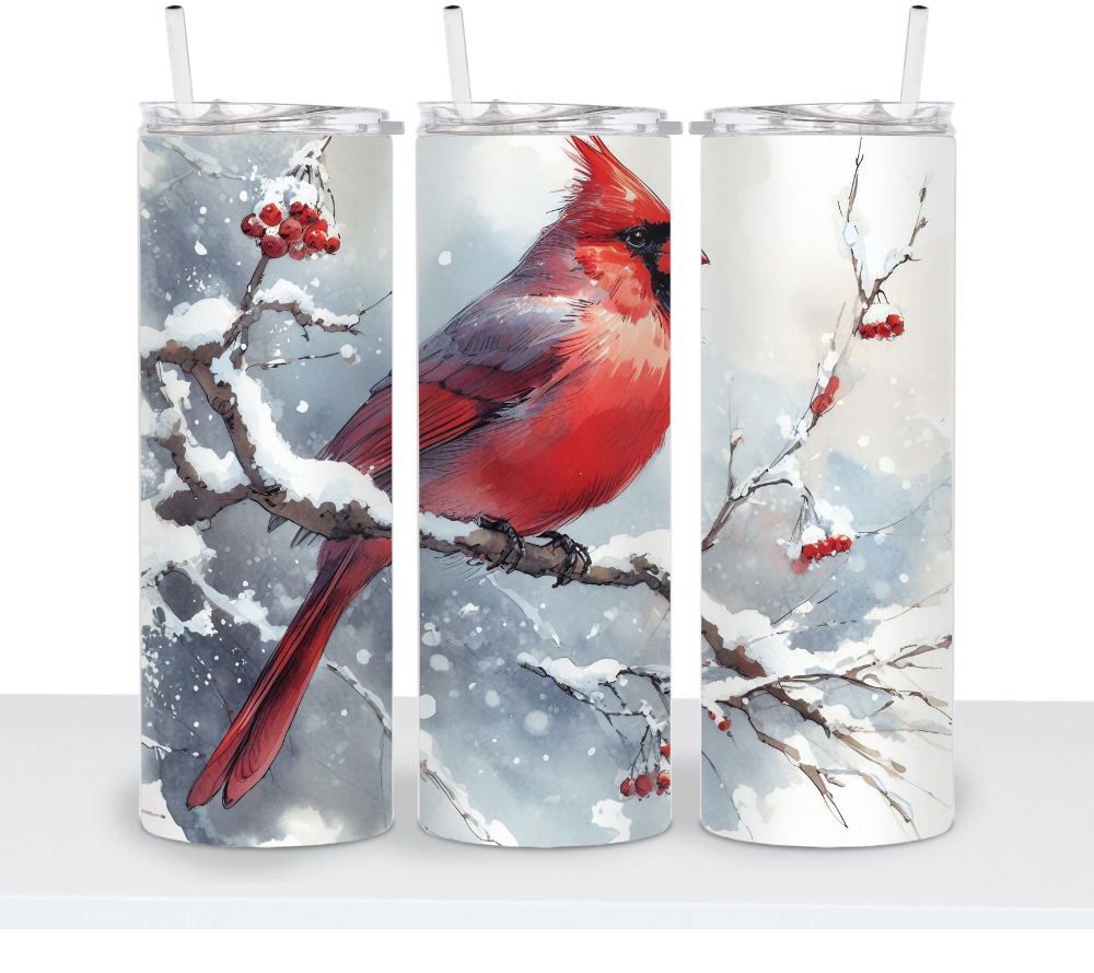 Winter Cardinal