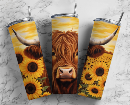 Cows